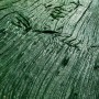 Stamp (by unit) RUTIC WOOD