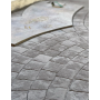 Zegel FISHSCALE GRANIET