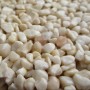 Campioni Ghiaino Resinato Drenante – Campioni Decorativi