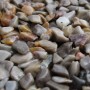 Kit Campione Ghiaino Resinato Drenante | Decorative Concrete Europe