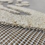 Grote salamander mal voor steentapijt – Decoratieve vorm
